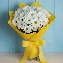 Букет цветов из:  Хризантемы в Земетчино