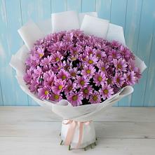 Букет цветов из:  Хризантемы в Земетчино
