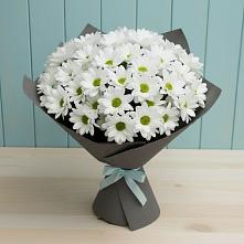 Букет цветов из:  Хризантемы #REPLACE_PRED# Земетчино