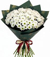 Букет цветов из:  Хризантемы в Земетчино