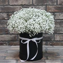 Цветочная композиция из Гипсофила в шляпной коробке в Земетчино